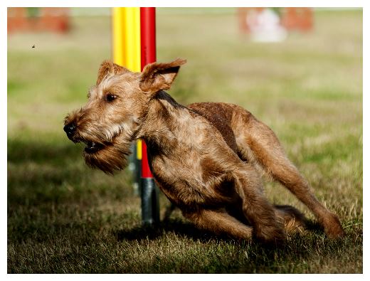 Agiturnier Dorsten-Carlotta Ende Slalom
