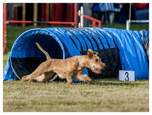 Agiturnier Dorsten-Carlotta Tunnel