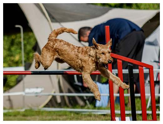 Agiturnier Dorsten-Juma Sprung2b