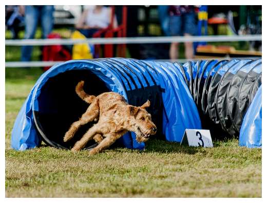 Agiturnier Dorsten-Juma Tunnel