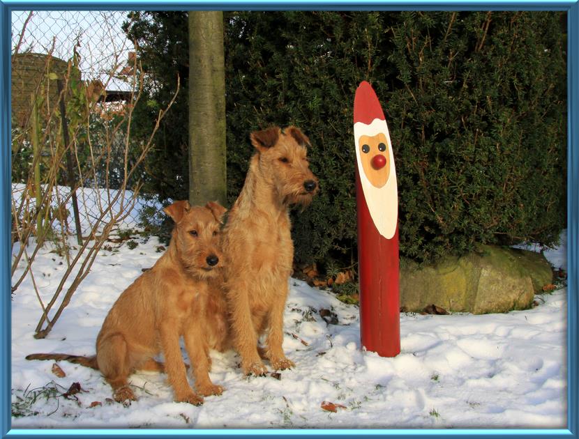 Carlotta und Juma 1,3