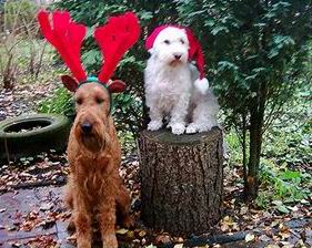 Nikolausgruss.Elliot