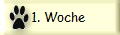 1. Woche
