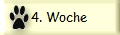 4. Woche