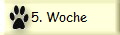 5. Woche