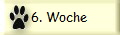 6. Woche