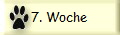 7. Woche