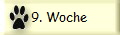 9. Woche
