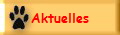 Aktuelles