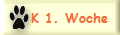 K 1. Woche