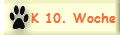 K 10. Woche