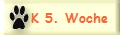 K 5. Woche