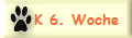 K 6. Woche