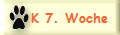 K 7. Woche