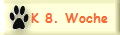 K 8. Woche
