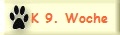 K 9. Woche