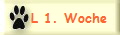 L 1. Woche