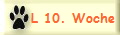 L 10. Woche