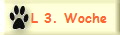 L 3. Woche