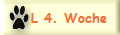 L 4. Woche