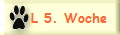 L 5. Woche