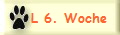 L 6. Woche