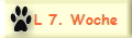 L 7. Woche