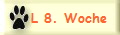 L 8. Woche