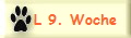 L 9. Woche