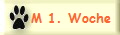M 1. Woche