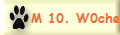 M 10. W0che