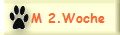 M 2.Woche
