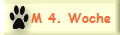 M 4. Woche