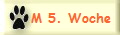 M 5. Woche