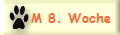 M 8. Woche