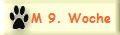M 9. Woche