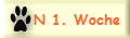 N 1. Woche