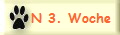 N 3. Woche