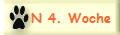 N 4. Woche