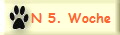 N 5. Woche
