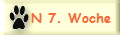 N 7. Woche