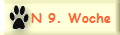 N 9. Woche