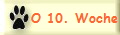 O 10. Woche