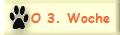 O 3. Woche