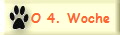 O 4. Woche