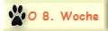 O 8. Woche