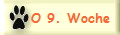 O 9. Woche