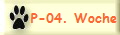 P-04. Woche