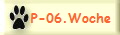 P-06.Woche