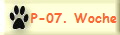 P-07. Woche